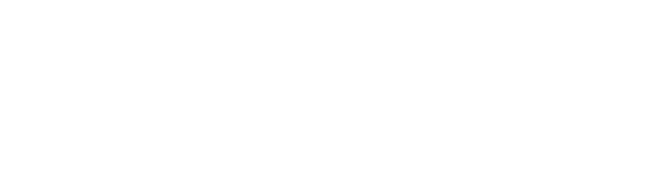 MTT-S Logo